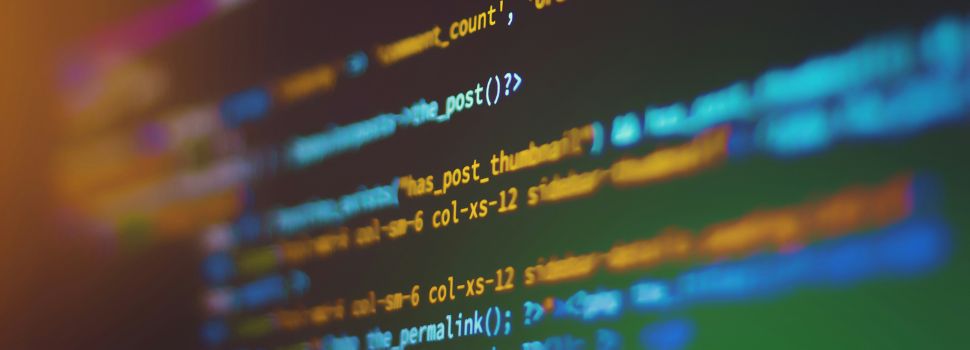 Nelson Saraiva - DEV